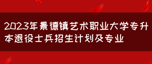 2023年景德镇艺术职业大学专升本退役士兵招生计划及专业