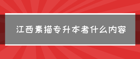 江西素描专升本考什么内容