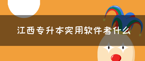 江西专升本实用软件考什么?